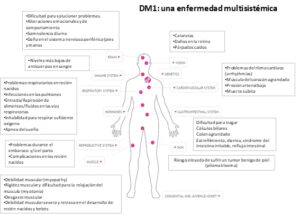 dm1_multisistemica